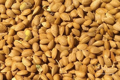 فروش بادام درختی