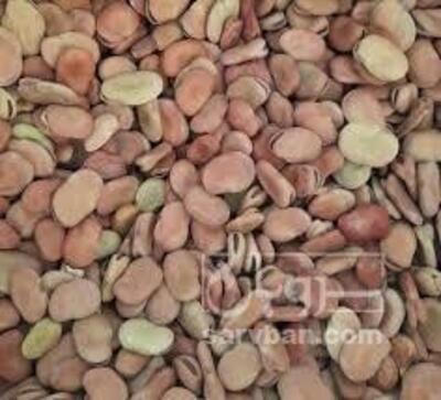 فروش باقلا خشک