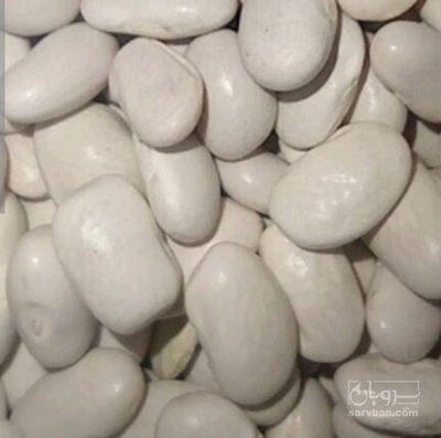 فروش لوبیا سفید