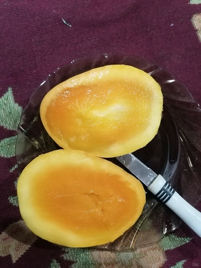 فروش انبه 2