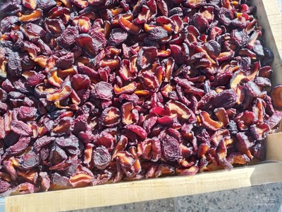 فروش آلو خشک بدون هسته