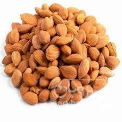 فروش هسته زردآلو