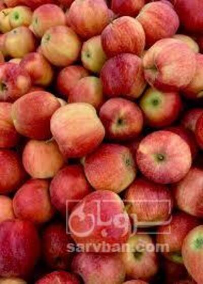 فروش سیب قرمز