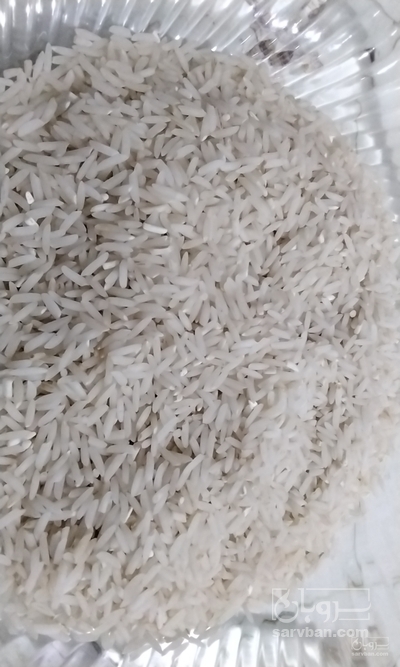 فروش برنج