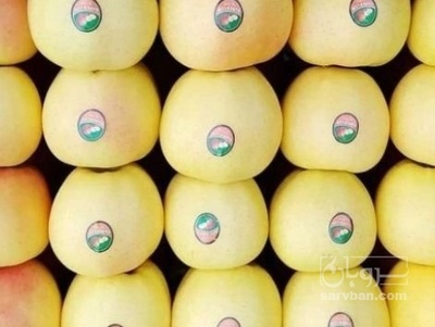فروش سیب زرد