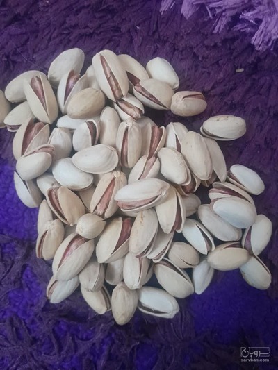 فروش پسته اکبری