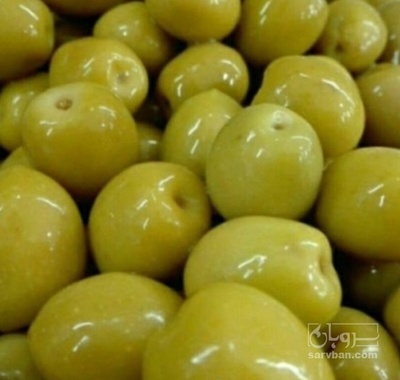 فروش زیتون شور و شکسته