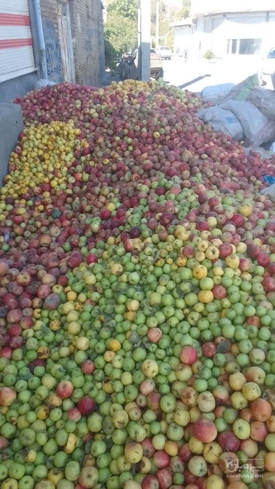 فروش سیب ضایعاتی