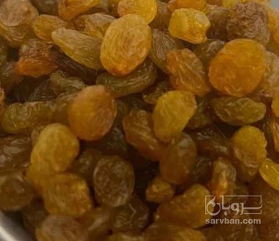 فروش کشمش تیزابی