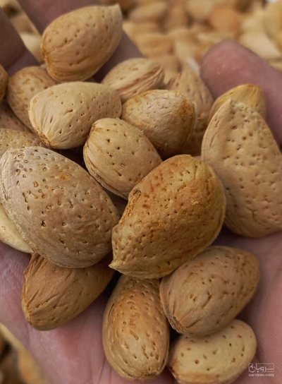 فروش بادام