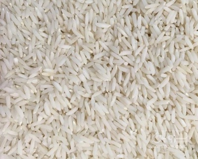 فروش برنج هاشمی
