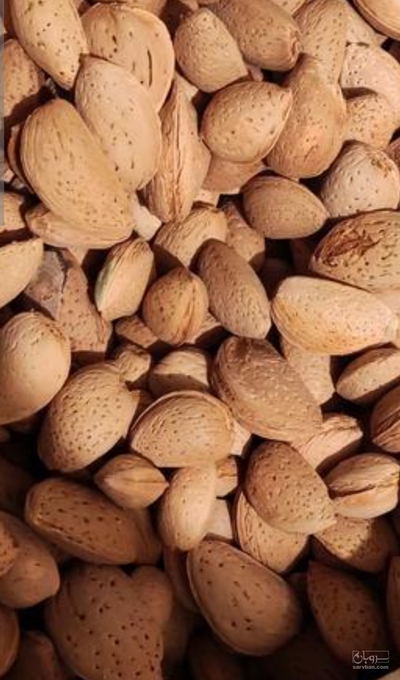 فروش بادام