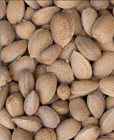 فروش بادام