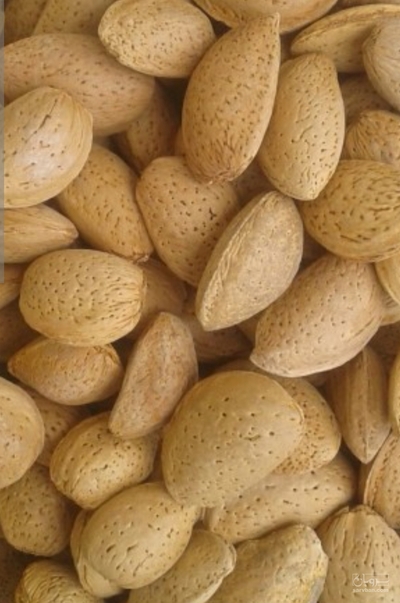 فروش بادام