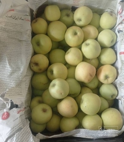 فروش سیب زرد