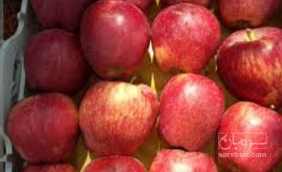 فروش سیب قرمز