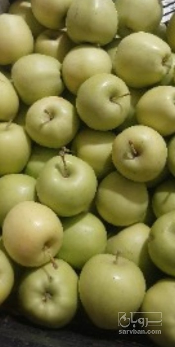 فروش سیب زرد