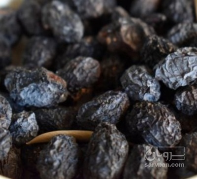 فروش زغال اخته