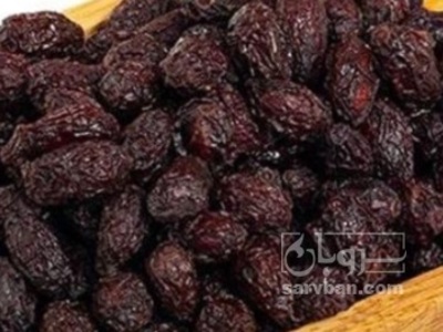 فروش زغال اخته