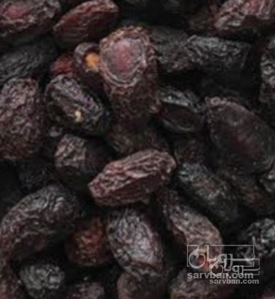 فروش زغال اخته