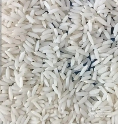 فروش برنج هاشمی