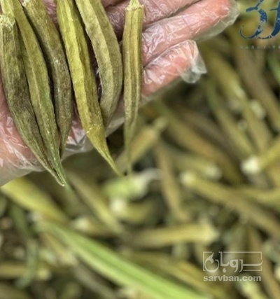 فروش بامیه خشک