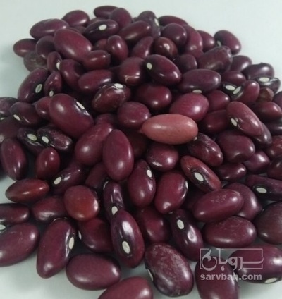 فروش لوبیا قرمز