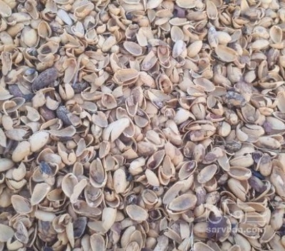 فروش پوست پسته استخوانی