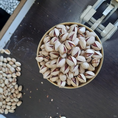 فروش پسته کله قوچی