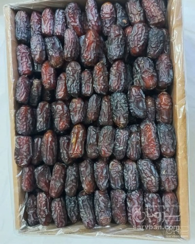 فروش خرما پیارم