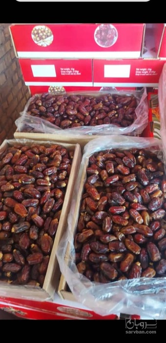 فروش خرما استعمران