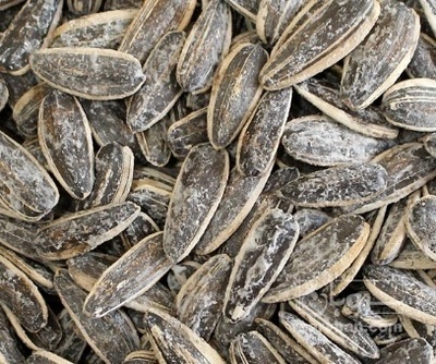 فروش تخمه اس۴۰۰