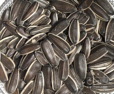 فروش تخمه  اس۳۰۰