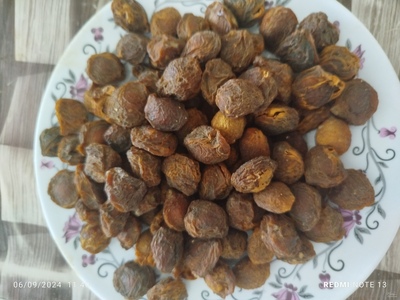 فروش زردآلو خشک