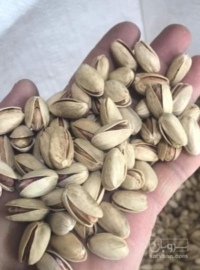 فروش پسته احمد اقایی