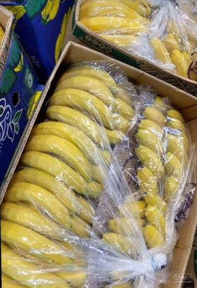 حق العمل کاری برادران فرزانه