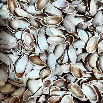 فروش پوست و کربن پسته