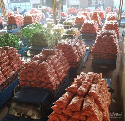 حق العمل کاری محمد عبدالهی