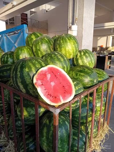 حق العمل کاری  برادران حسین پور