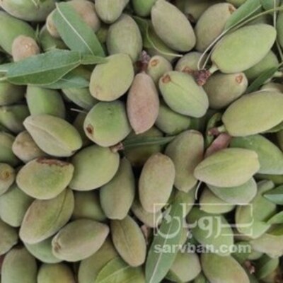 فروش بادام درختی با پوست