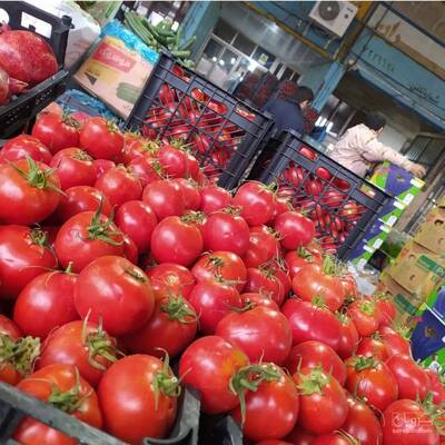 بار فروشی و حق العمل کاری یکتا