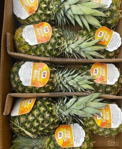 بار فروشی و حق العمل کاری یوسف میزائی