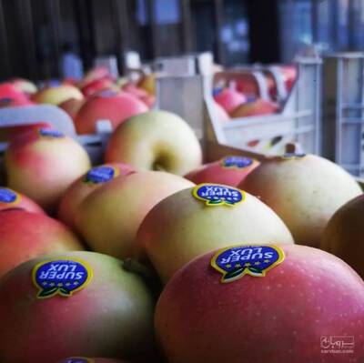 حق العمال کاری یحیی امین تاج