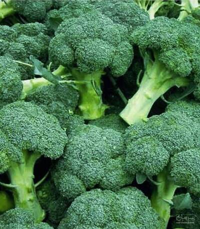 بارفروش و حق العمل کاری محسن آقا علیزاده