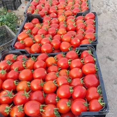 بار فروشی حسین نوابی