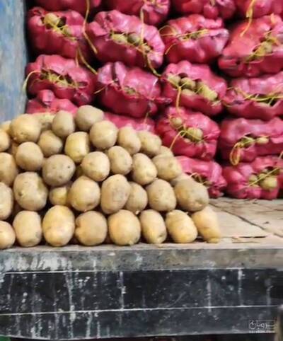 بارفروش و حق العمل کاری حاتم شیروانی