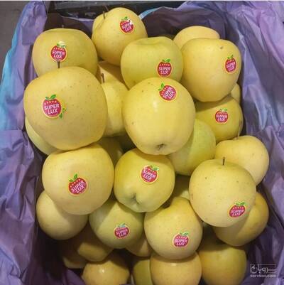 حق العمل کاری یاسین مردان