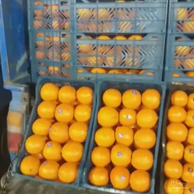 حق العمل کاری احسان کفایتی