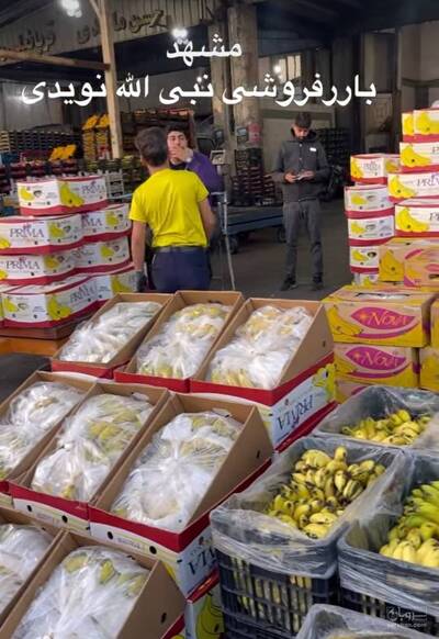 حق العمل کاری حاج نبی الله نویدی