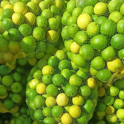 حق العمل کاری حاج رضا ربانی